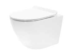 WC-Toilette: Schüssel ROLO... 2