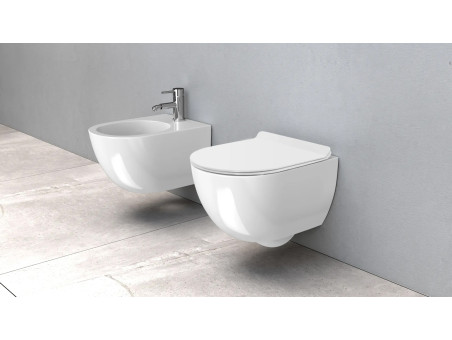 WC-Toilette: Schüssel ROLO Weiß mit Klosettsitz Slim Soft-Close