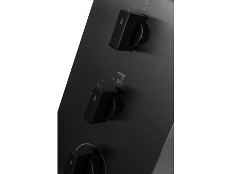 Duschpaneel in Graphit NEOK mit Auslauf, Duschsäule, Massagedusche