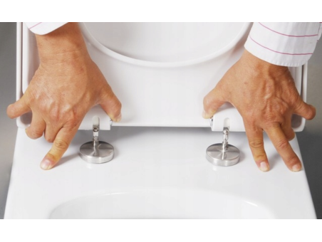 WC-Toilette: Schüssel ROLO Schwarz mit Klosettsitz Slim Soft-Close